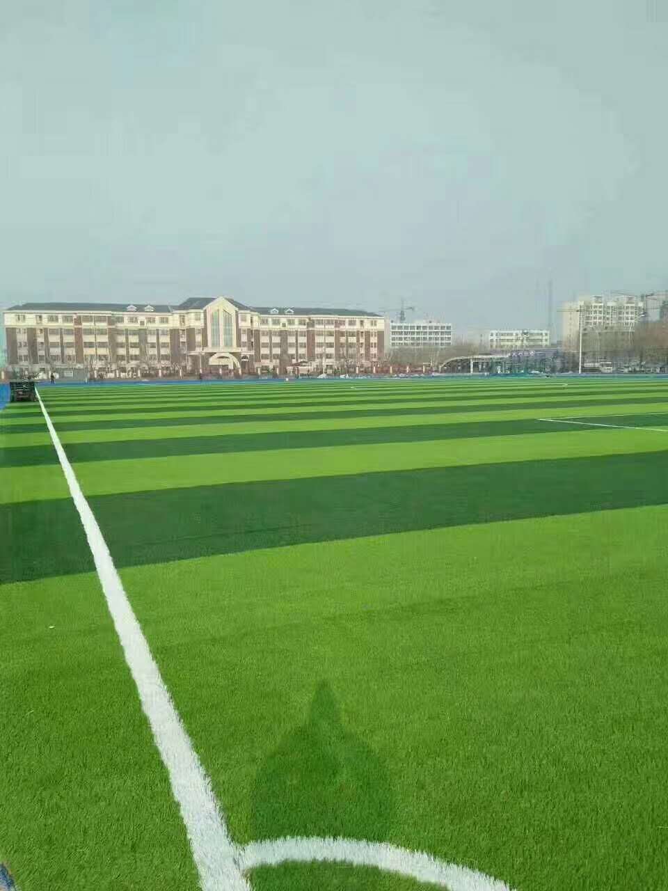 南阳市塑胶颗粒仿真草坪 - 方案